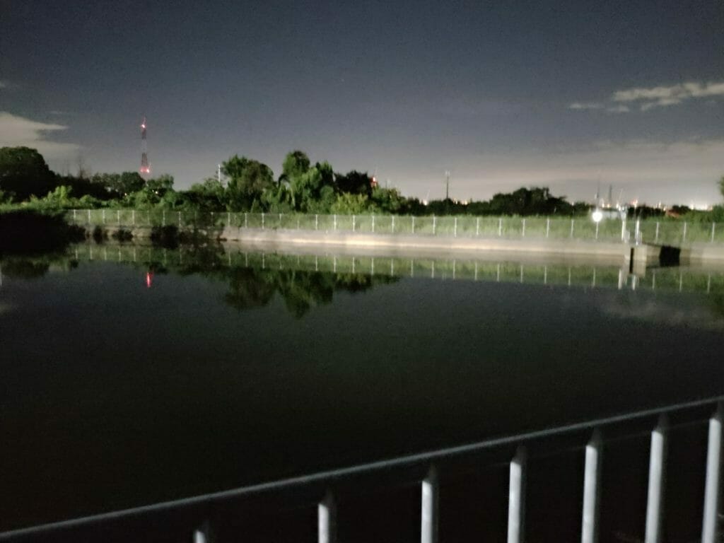 夜の野池